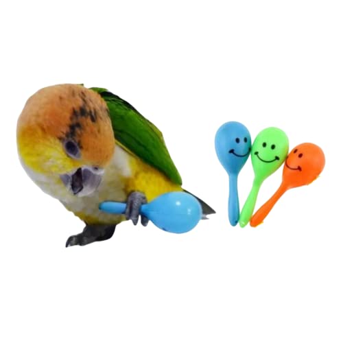 Bunte Mini-Kugel-Sandhammer, Papageien-Rassel, Shaker, Musik-Sound, Spielzeug für Sittiche, Kanarienvögel, Nymphensittiche, zufällige Farbe, 3 Stück von Barn Eleven
