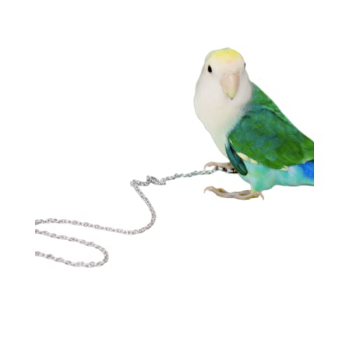 Vogel-Fußkette, fliegendes Edelstahl-Trainingsseil, Outdoor, Papageien, Knöchelfußring, Zubehör, Vogelgeschirr, Leine, verhindert Entkommen (7#) von Barn Eleven
