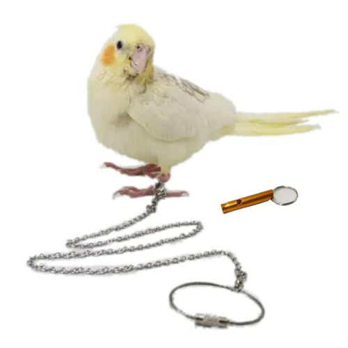 Vogel-Fußkette, fliegendes Edelstahl-Trainingsseil, Outdoor, Papageien, Knöchelfußring, Zubehör, Vogelgeschirr, Leine, verhindert Entkommen (Modell 8) von Barn Eleven