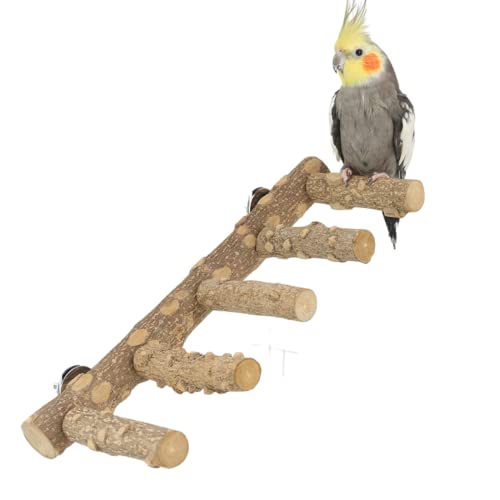 Vogelleiter Sitzstange Käfig Natur Holz Ständer Papagei Kauspielzeug für kleine mittelgroße Papageien Tier von Barn Eleven