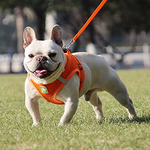 BaronHong Atmungsaktives HundegeschirrLeinen-Set, kein Ziehen, verstellbares, reflektierendes Step-in-Welpengeschirr für extra kleine/kleine mittelgroße Hunde und Katzen (Orange, M) von BaronHong