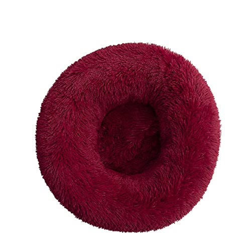 BaronHong Beruhigendes Hundebett & Katzenbett, Anti-Angst-Donut-Hundekuschelbett, wärmendes, gemütliches, weiches, rundes Hundebett, Flauschiges Kunstpelz-Plüsch BaronHong Beruhigendes Hundebett & Katzenbett, Anti-Angst-Donut-Hundekuschelbett, wärmendes, gemütliches, weiches, rundes Hundebett, Flauschiges Kunstpelz-Plüsch von BaronHong