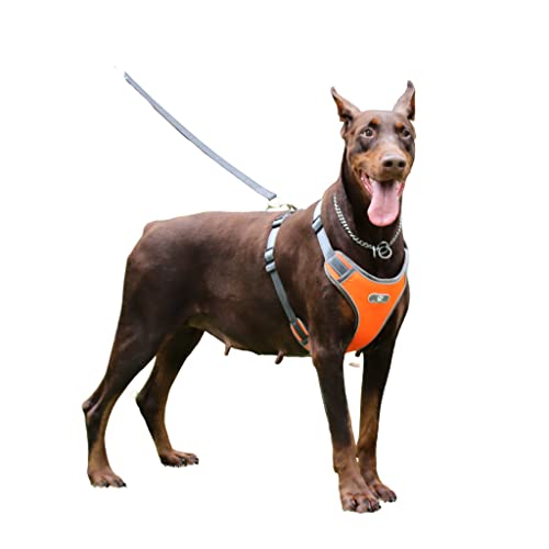 BaronHong Hundegeschirr, kein Ziehen, verstellbares Hundegeschirr für den Außenbereich, reflektierende Weste aus Oxford-Material, für kleine, mittelgroße und große Hunde (Orange, S) von BaronHong