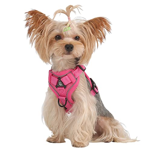 BaronHong Hundegeschirr-Leine-Set, reißfestes Haustiergeschirr mit 2 Leinenclips, verstellbare, weich gepolsterte Hundeweste, reflektierende Oxford-Weste ohne Würgen mit einfachem Steuergriff BaronHong Hundegeschirr-Leine-Set, reißfestes Haustiergeschirr mit 2 Leinenclips, verstellbare, weich gepolsterte Hundeweste, reflektierende Oxford-Weste ohne Würgen mit einfachem Steuergriff von BaronHong