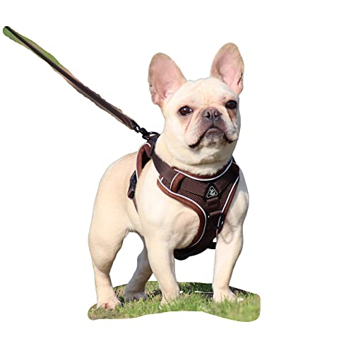 BaronHong Hundegeschirr-Leine-Set, reißfestes Haustiergeschirr mit 2 Leinenclips, verstellbare, weich gepolsterte Hundeweste, reflektierende Oxford-Weste ohne Würgen mit einfachem Steuergriff BaronHong Hundegeschirr-Leine-Set, reißfestes Haustiergeschirr mit 2 Leinenclips, verstellbare, weich gepolsterte Hundeweste, reflektierende Oxford-Weste ohne Würgen mit einfachem Steuergriff von BaronHong
