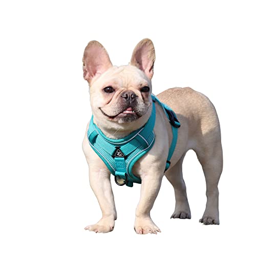 BaronHong Hundegeschirr-Leine-Set, reißfestes Haustiergeschirr mit 2 Leinenclips, verstellbare, weich gepolsterte Hundeweste, reflektierende Oxford-Weste ohne Würgen mit einfachem Steuergriff BaronHong Hundegeschirr-Leine-Set, reißfestes Haustiergeschirr mit 2 Leinenclips, verstellbare, weich gepolsterte Hundeweste, reflektierende Oxford-Weste ohne Würgen mit einfachem Steuergriff von BaronHong