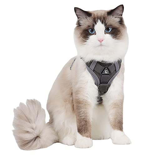 BaronHong Hundegeschirr-Leine-Set, reißfestes Haustiergeschirr mit 2 Leinenclips, verstellbare, weich gepolsterte Hundeweste, reflektierende Oxford-Weste ohne Würgen mit einfachem Steuergriff BaronHong Hundegeschirr-Leine-Set, reißfestes Haustiergeschirr mit 2 Leinenclips, verstellbare, weich gepolsterte Hundeweste, reflektierende Oxford-Weste ohne Würgen mit einfachem Steuergriff von BaronHong