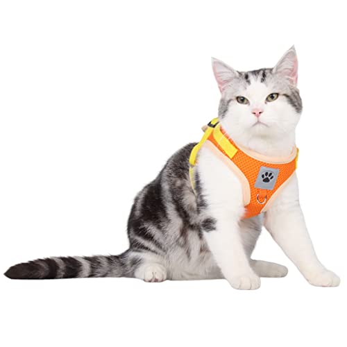 BaronHong Hundegeschirr-Weste für kleine und mittelgroße Hunde, kein Ziehen, Leichter Spaziergang, weicher Schritt, ausbruchsicher, reflektierendes Geschirr und Leine, Set (Orange, L) von BaronHong