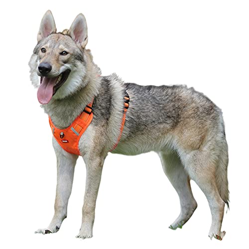 BaronHong Hundegeschirr ohne Zug, Reflektierende Hundeweste ohne Choke, verstellbarAtmungsaktives Haustiergeschirr Easy Control PVC-Griff für Mittelgroße (Orange, L) von BaronHong