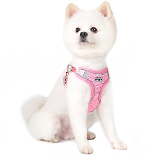 BaronHong Hundegeschirr und Leine für kleine Hunde, kein Ziehen, Step-in-Geschirr für mittelgroße Hunde und Katzen, Air Mesh, verstellbar, atmungsaktiv, weich (Pink, XL) von BaronHong