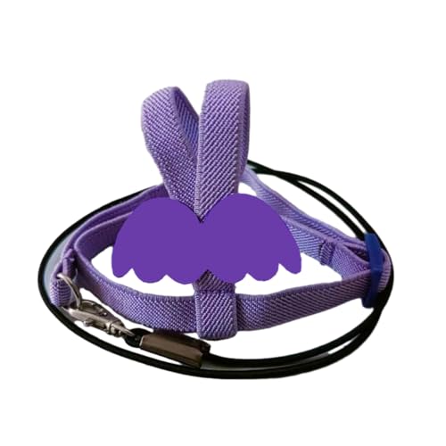 BaronHong Vogelgeschirr-Leinen-Set zum Spazierengehen, langlebiges Ausflugsgerät, Verstellbarer Flugtrainingsseilgurt, Zugseil (lila, XL) von BaronHong