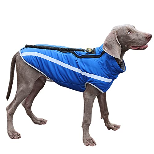 BaronHong wasserdichte Hundejacke mit Fleecefutter Reißverschluss Reflektierende Jacken Große Hundebekleidung Winter Outdoor Mäntel(blau,2XL) von BaronHong