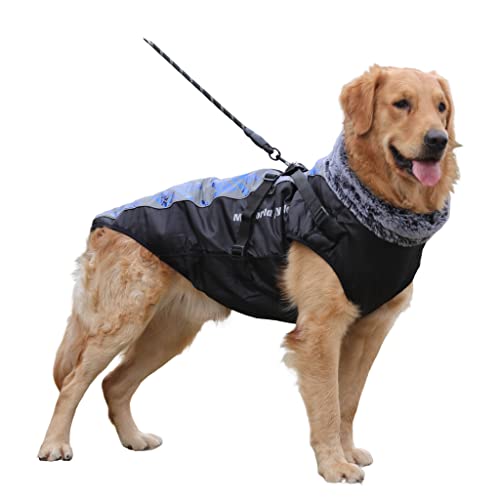 BaronHong wasserdichte Winterjacke für Hunde mit Geschirr, D-Loch, pelziger Kragen, leichtes Gehen und weicher, Warmer Sport für mittelgroße Haustiere (Bling-Blau, XL) von BaronHong