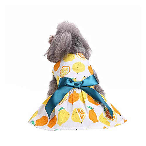 Barrageon Hunde Kleid Süß Prinzessin Bowknot Haustier Rock Kleidung Welpe Katze Für Kleine Hundekatze Mittelgroße Sommerkleidung (Gelb-L) von Barrageon