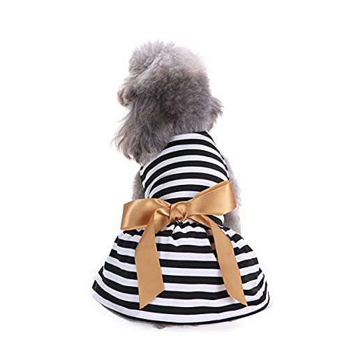 Barrageon Hunde Kleid Süß Prinzessin Bowknot Haustier Rock Kleidung Welpe Katze Für Kleine Hundekatze Mittelgroße Sommerkleidung (Weiß Schwarz-XS) von Barrageon