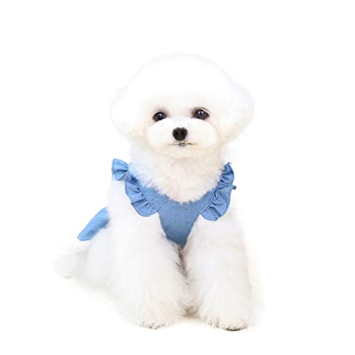 Barrageon Hunde Kleid Süß Prinzessin Rock Kleidung Welpe Katze Für Kleine Haustier Mittelgroße Sommerkleidung Bowknot Hundekatze (Hellblau-M) von Barrageon