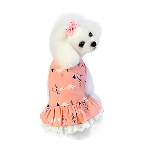 Barrageon Hunde Kleid Süß Prinzessin Rock Kleidung Welpe Katze Für Kleine Haustier Mittelgroße Sommerkleidung Bowknot Hundekatze (Rosa-L) von Barrageon