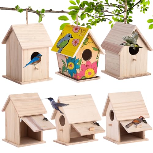 Barydat 6 Stück hängende Vogelhäuser für den Außenbereich, unlackierte Holz-Vogelhäuser zum Bemalen und Bauen, DIY-Vogelhaus-Sets für Kinder, Mädchen, Jungen, Kunst- und Bastelprojekte, 3 Größen von Barydat