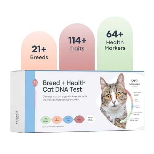 Basepaws KatzenDNATestSet | KatzenRassengruppen, Krankheiten und Eigenschaften | KatzenDNATest enthält 17+ genetische Krankheiten | einfach abtupfen und eine DNAProbe senden, erhalten Sie von Basepaws