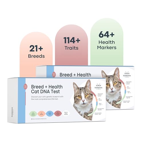 Basepaws Katzen-DNA-Test-Set, 2 Stück, umfassende Rassen-, Gesundheits- und Zahnanalyse über 114 Eigenschaften für genaue und einfach zu bedienende genetische Erkenntnisse Basepaws Katzen-DNA-Test-Set, 2 Stück, umfassende Rassen-, Gesundheits- und Zahnanalyse über 114 Eigenschaften für genaue und einfach zu bedienende genetische Erkenntnisse von Basepaws