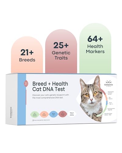 Basepaws KatzenDNATestSet | KatzenRassengruppen, Krankheiten und Eigenschaften | KatzenDNATest enthält 17+ genetische Krankheiten | einfach abtupfen und eine DNAProbe senden, erhalten Sie von Basepaws