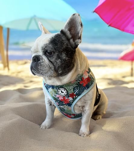 Geschirr- und Leinen-Set mit Hawaii-Druck, Größe M Geschirr- und Leinen-Set mit Hawaii-Druck, Größe M von Bat Pig Society