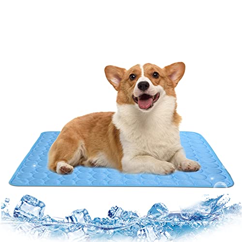 Delamiya Kühlmatte für Hunde, 70 * 100 cm Kühlmatte Hund Selbstkühlend, Kühldecke Hund Katze, Tragbar Faltbar Waschbar Bequemes Haustier Selbstkühlende Matte im Heißen Sommer für Auto und Zuhause Delamiya Kühlmatte für Hunde, 70 * 100 cm Kühlmatte Hund Selbstkühlend, Kühldecke Hund Katze, Tragbar Faltbar Waschbar Bequemes Haustier Selbstkühlende Matte im Heißen Sommer für Auto und Zuhause von Bater