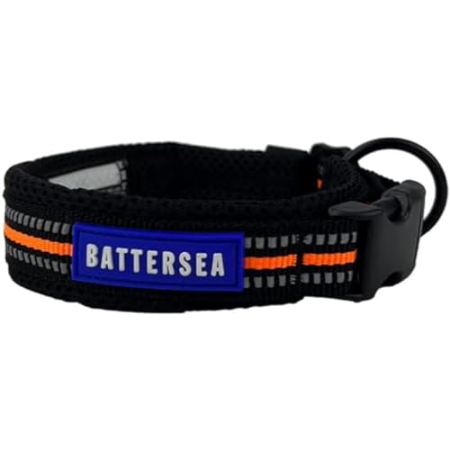 Battersea Hundehalsband, reflektierend, Orange, S Battersea Hundehalsband, reflektierend, Orange, S von Battersea