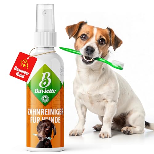Baviette Hundepflege-Set: (300-fach) Probiotischer Plaque zur Zahnreinigung für Hunde – Optimale Mundpflege, Zahnpflege, effektiv gegen Mundgeruch und Zahnstein, geruchsfrei (Mundpflege 100ml) von Baviette