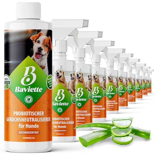 Baviette Hundeurin Neutralisieren bietet porentiefe Wirkung für Möbel, Polster, Teppich Auto, Tiergeruch, Urin Ammoniak zu entfernen Geruchsneutralisierer mit Bio Probiotika Power (Konzentrat 500ml) von Baviette