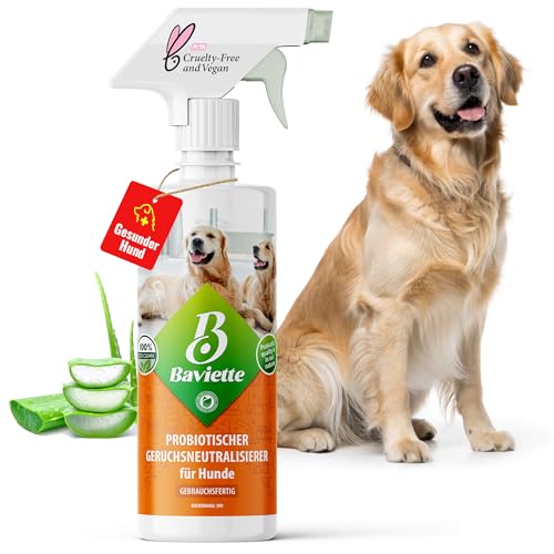 Baviette Hundeurin Neutralisieren bietet porentiefe Wirkung für Möbel, Polster, Teppich Auto, Tiergeruch, Urin Ammoniak zu entfernen Geruchsneutralisierer mit Bio Probiotika Power (Spray 500ml) von Baviette