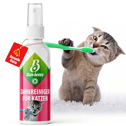 Baviette Katzenpflege-Set: (300-fach) Probiotischer Plaque zur Zahnreinigung für Katzen – Optimale Mundpflege, Zahnpflege, Effektiv gegen Mundgeruch & Zahnstein, Geruchsfrei (Mundpflege) von Baviette