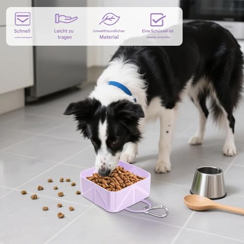 Bavokon Hundefutternapf Tragbar | Faltbarer Outdoor-Katzennapf | 500ml Hundenapf Trinkflasche für Welpe Katze Reisen Wandern Boot Outdoor Aktivitäten von Bavokon