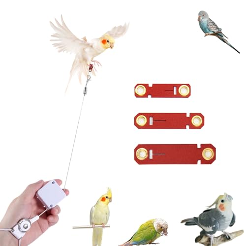 Bavooty Einziehbar Vogel Leine,2m Vogel Leine,Vogel Geschirr mit 3 Fußringen,Sittich Fluggeschirr,Verstellbares Vogelgeschirr für Outdoor-Training,Papageien Leine,Anwendbar Papageien,Kakadus und Aras von Bavooty