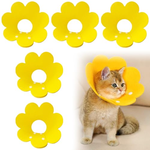 Katzenschutzhalsband von Bavooty