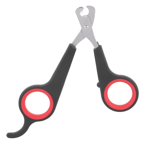 Baxnore Nagelknipser für Vögel, Nagelschere aus Edelstahl für Kleintiere, Papagei Nagelknipser, Wellensittiche Kätzchen Hamster Welpen Nagelknipser mit leicht zu greifendem Griff Baxnore Nagelknipser für Vögel, Nagelschere aus Edelstahl für Kleintiere, Papagei Nagelknipser, Wellensittiche Kätzchen Hamster Welpen Nagelknipser mit leicht zu greifendem Griff von Baxnore