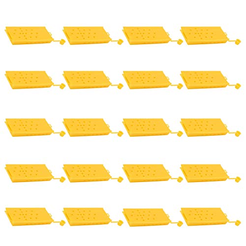 Queen Bee Cage gelbe Plastik -Bienenzucht Transportbox Essentielles Werkzeug für Imkerin langlebiger sicherer giftiger Beatmungsdesign für Königin Bienenlager 20pcs von Baxnore