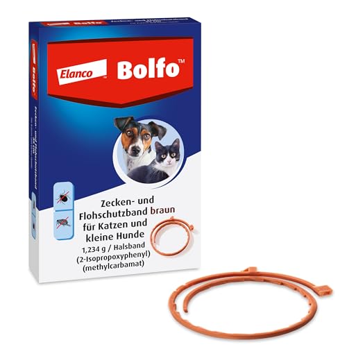 Elanco Bolfo Zecken- und Flohhalsband für kleine Hunde & Katzen – Zeckenhalsband für langanhaltenden Zecken- und Flohschutz – Floh- & Zeckenmittel für Katzen und Hunde in Puderform auf dem Halsband von Bolfo