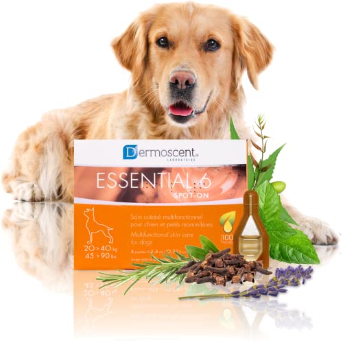 Innovative Hautpflegelösung für Hunde und kleine Haustiere | Feuchtigkeitsspendend, glänzend, kontrolliert Haarausfall, reduziert Gerüche und schützt mit natürlichen Inhaltsstoffen | 20-40 kg von Dermoscent
