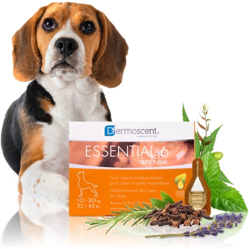 Innovative Hautpflegelösung für Hunde und kleine Haustiere | Feuchtigkeitsspendend, glänzend, kontrolliert Haarausfall, reduziert Gerüche und schützt mit natürlichen Inhaltsstoffen | 10-20 kg von Dermoscent
