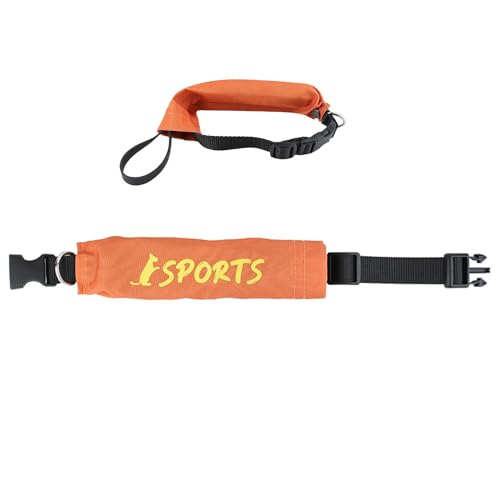 Hundeleine – Flexible Hundeleine, einziehbar, verstellbar, Hundehalsbänder für Training, einziehbare Leinen, Spaziergangsleinen mit D-Ring-Design, sicheres Klebeband für Haustiere, Hunde, Welpen Hundeleine – Flexible Hundeleine, einziehbar, verstellbar, Hundehalsbänder für Training, einziehbare Leinen, Spaziergangsleinen mit D-Ring-Design, sicheres Klebeband für Haustiere, Hunde, Welpen von Bbbabeslk