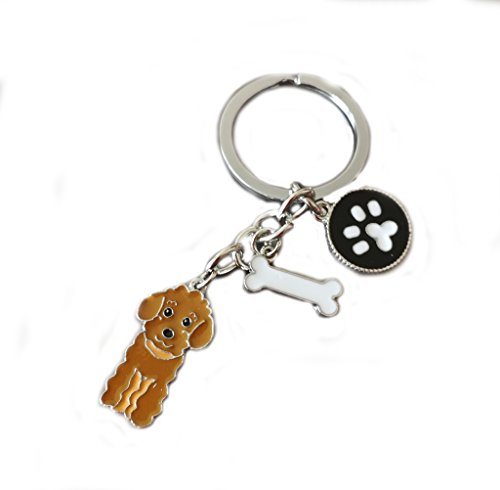 BbearT® Dog Tag Dog Key-ring Keychain,Cute Small Dog Puppy ID Tags Metal Dog Keychain Keyring Keyfob Key Tags Car Keyring Bag Charm Birthday (Coffee Puoodle), braun, S von BbearT