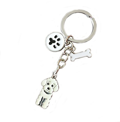 BbearT® Dog Tag Dog Tag Schlüsselanhänger Schlüsselanhänger Niedlich Kleine Hund Welpe ID Tags Metall Hund Schlüsselanhänger Schlüsselanhänger Schlüsselanhänger Schlüsselanhänger von BbearT