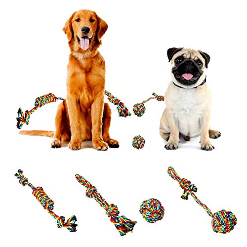 Bbl345dLlo Kauspielzeug für Hunde, 4 Stück, Regenbogenfarben, Knoten, Seilspielzeug, Kauspielzeug für Welpen, Beißen, Beißen, Beißen, Zubehör – Regenbogenfarbe von Bbl345dLlo