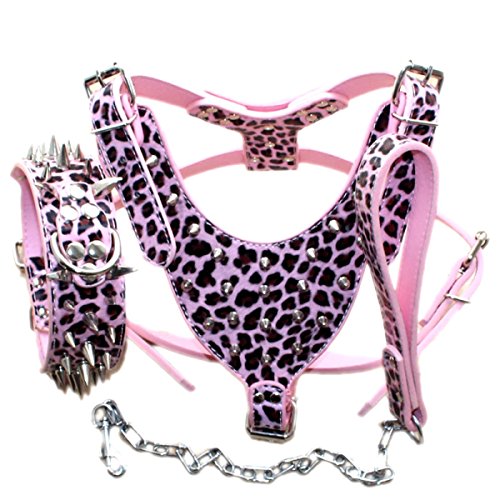 Bbmmayy Hundegeschirr und Halsband aus Leder, mit Spikes, geeignet für große Rassen, Bullterrier, Dobermann, strapazierfähiges Ledergeschirr mit Metallnieten und passender Halsbandleine, Spikes Bbmmayy Hundegeschirr und Halsband aus Leder, mit Spikes, geeignet für große Rassen, Bullterrier, Dobermann, strapazierfähiges Ledergeschirr mit Metallnieten und passender Halsbandleine, Spikes von Bbmmayy