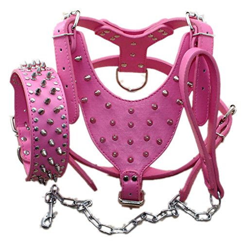 Bbmmayy Hundegeschirr und Halsband aus Leder, mit Spikes, geeignet für große Rassen, Bullterrier, Dobermänner, strapazierfähiges Ledergeschirr mit Metallnieten und passender Halsband-Leine (XL, von Bbmmayy