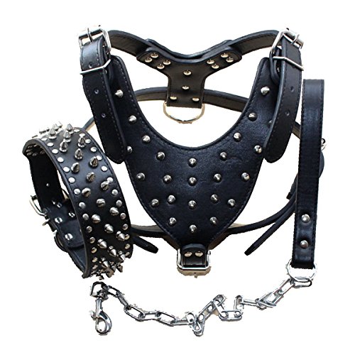 Bbmmayy Hundegeschirr und Halsband aus Leder mit Spikes, geeignet für große Rassen, Bullterrier, Dobermänner, strapazierfähiges Ledergeschirr mit Metallnieten und passender Halsband-Leine (M, Nieten, von Bbmmayy