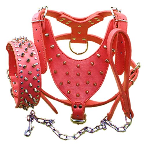 Bbmmayy Hundegeschirr und Halsband aus Leder mit Spikes, geeignet für große Rassen, Bullterrier, Dobermänner, strapazierfähiges Ledergeschirr mit Metallnieten und passender Halsband-Leine (XL, von Bbmmayy