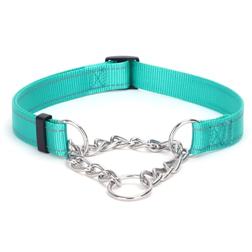 Bbmmayy Martingale Halsband für Hunde, verstellbares reflektierendes Nylon-Hundehalsband mit Edelstahlkette, Training, rutschfest, für kleine, mittelgroße und große Hunde (Blaugrün, S) von Bbmmayy