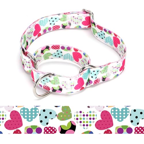 Bbmmayy Martingale Hundehalsband, verstellbar, weich, buntes Blumenmuster, niedliches Muster für Welpen, für mittelgroße und große Hunde, Spazierengehen, Laufen, Training (11, M: 2,5 cm breit für Bbmmayy Martingale Hundehalsband, verstellbar, weich, buntes Blumenmuster, niedliches Muster für Welpen, für mittelgroße und große Hunde, Spazierengehen, Laufen, Training (11, M: 2,5 cm breit für von Bbmmayy